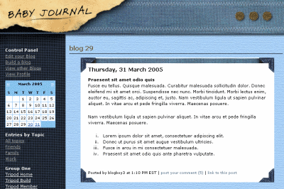 Baby Journal - blue