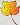 genealogy consultant
