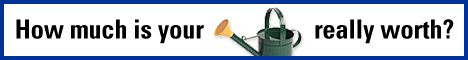 click here for ebay