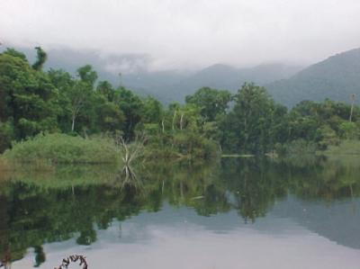 Foto:ERNESTO ZAMBON