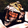 my old cat mask
