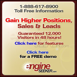 www.engineseeker.com