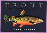 photo of James Prosek's book 'Trout'