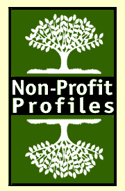 non profit profiles