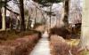 Walkways -1