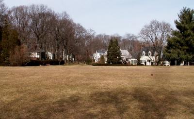 Central  Green - 2