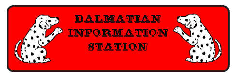 Dalmatian Information Station