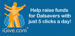Support Dalsavers