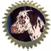 Quincy