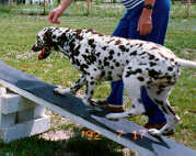 Teeter totter