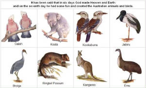 aussiefaunasm.jpg