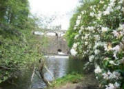 bridgegouthwaite.jpg