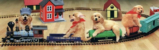 goldenpuppiestrainx.jpg