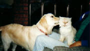 murphyandplumwhisper.jpg