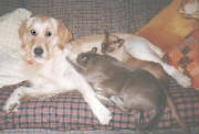 murphyandtwo.jpg