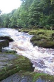 yksglenrapids.jpg