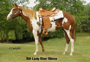 baladystarolena.jpg