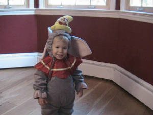 alexanderdumbo2.jpg