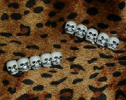 skullrow.jpg