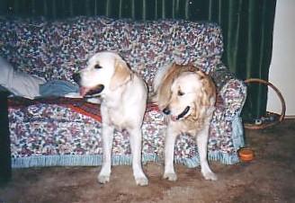 bumsonseats.jpg