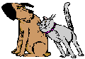 catanddogrt2.gif