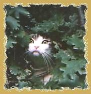 gussietreeframed.jpg