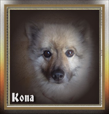 kona1.jpg