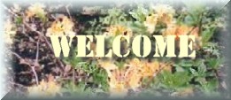 welcome.jpg
