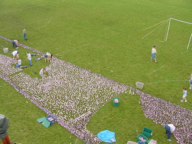 skyview2003.jpg