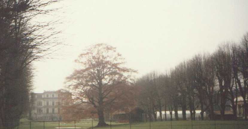 elswout1a.jpg