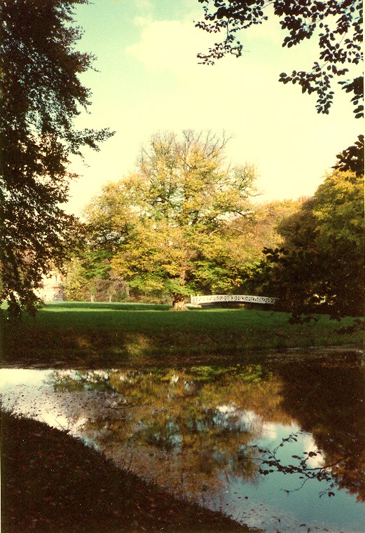 elswoutboom.jpg