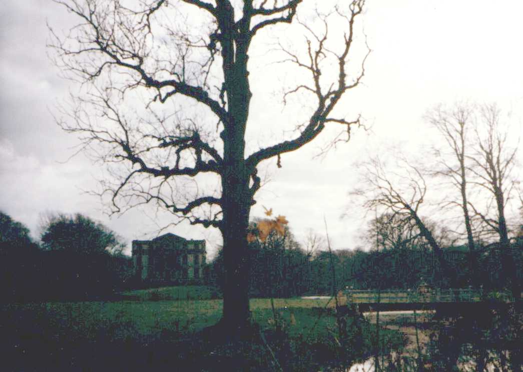 elswoutc2.jpg