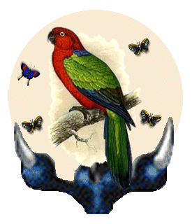 globeparrot.gif