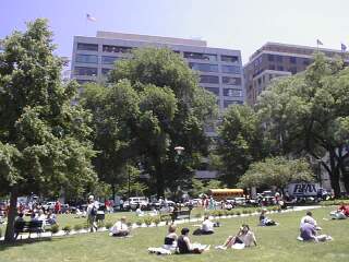 Farragut North Park, polarized