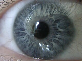 Self Portrait -- my eye