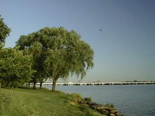 Potomac River, polarized