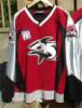 Boston Ice Sharks