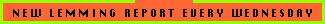 New Lemming Report Each Wednesday